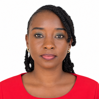 Accountant